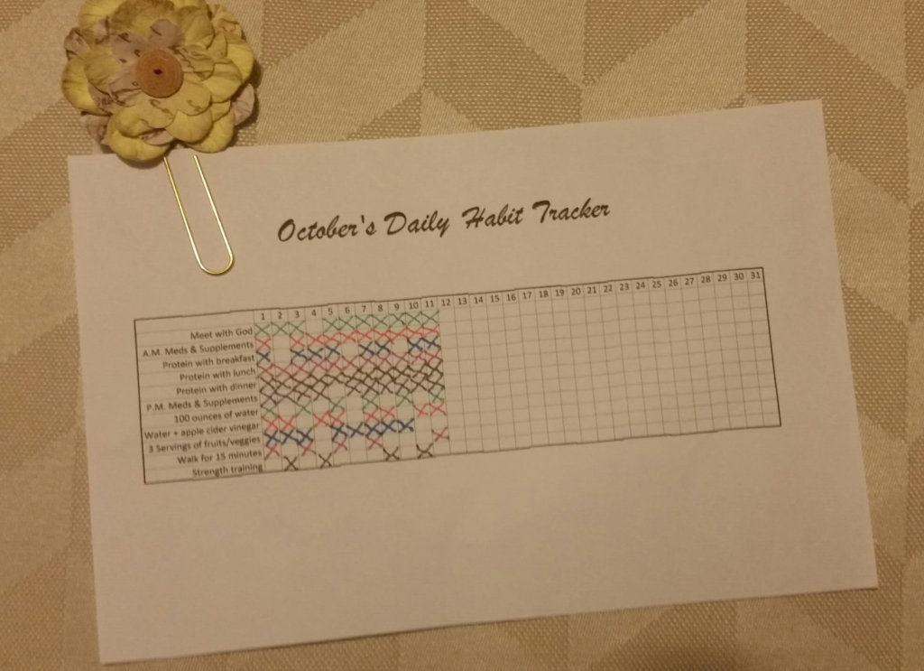 daily habit tracker for chronic illness